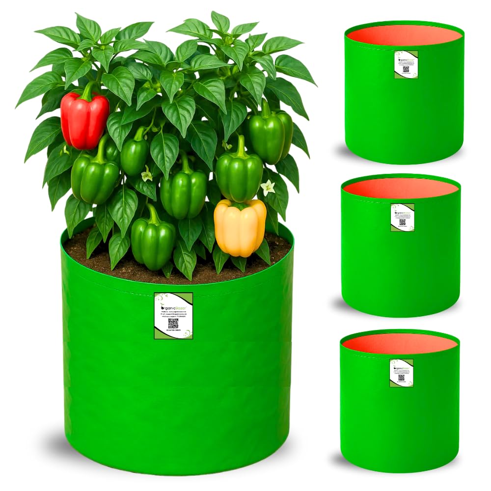HDPE Grow Bag For Vegetable and Fruits 12X 12 Inch Pack Of 3