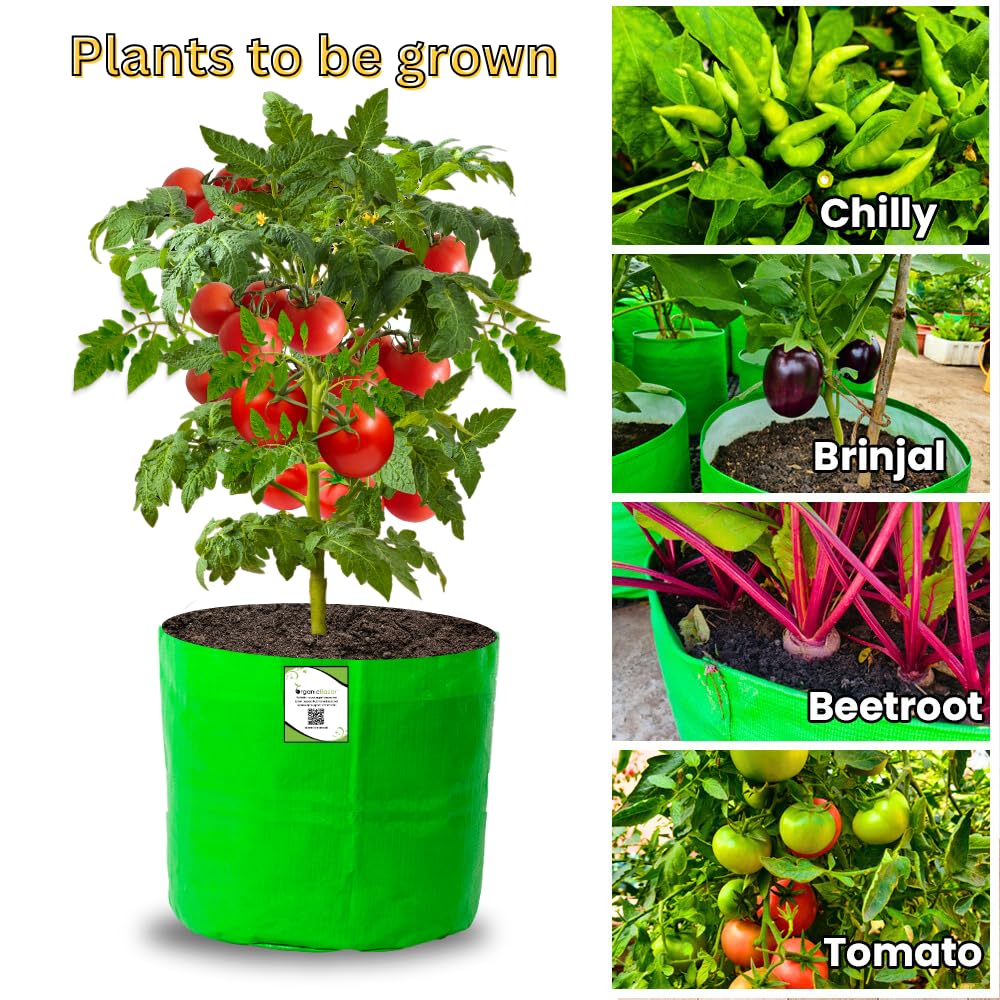 HDPE Grow Bag For Vegetable and Fruits 12X 12 Inch Pack Of 3