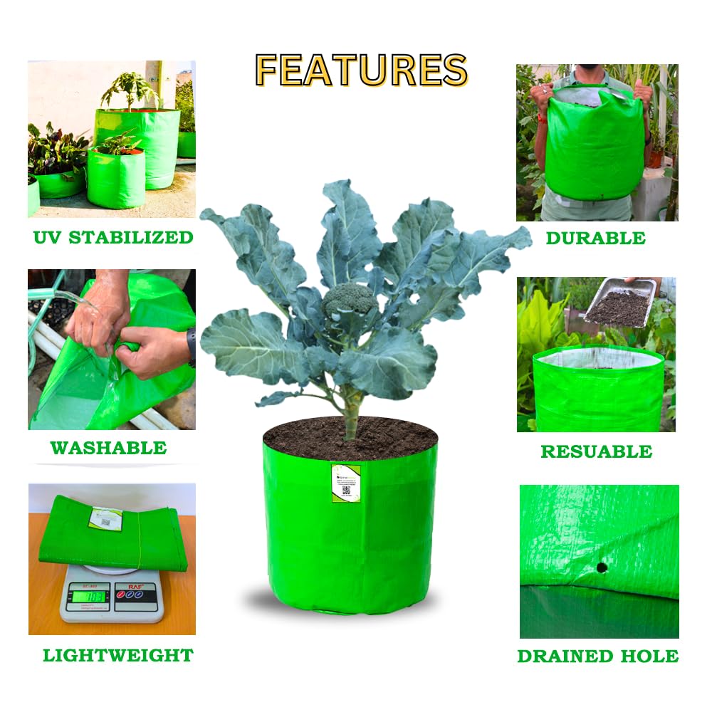 HDPE Grow Bag For Vegetable and Fruits 12X 12 Inch Pack Of 3