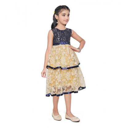 Generic Girl's Fancy Net Net Sleeve Less Round Neck Dress (Blue)